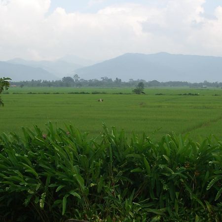 Chiang Kham Rico Resort מראה חיצוני תמונה
