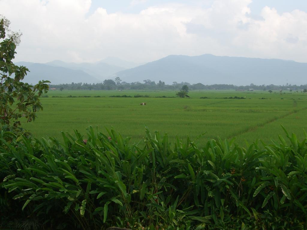 Chiang Kham Rico Resort מראה חיצוני תמונה
